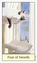 Cat's Eye Tarot