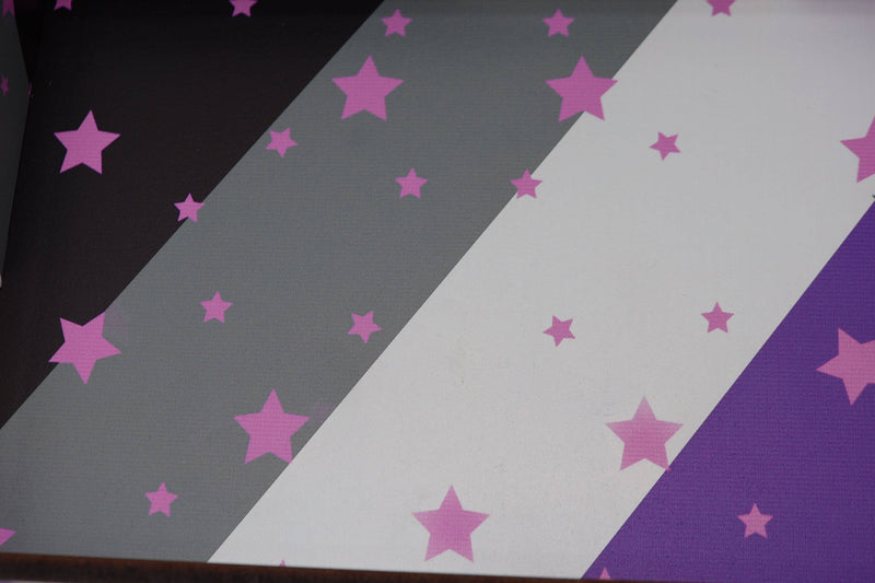 Chromatic Pride Dice Tray - Asexual