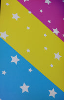 Chromatic Pride Dice Tray - Pansexual