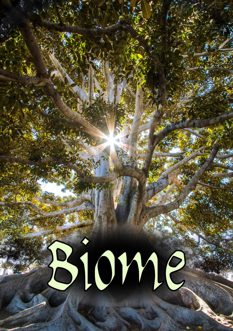 Biome
