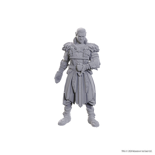 D&D Nolzur's Marvelous Miniatures: Special Edition Baldur's Gate 3 - Jaheira & Halsin