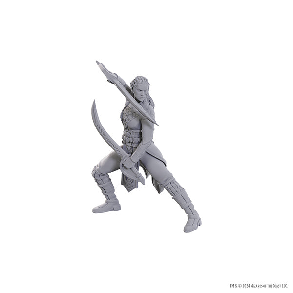 D&D Nolzur's Marvelous Miniatures: Special Edition Baldur's Gate 3 - Jaheira & Halsin